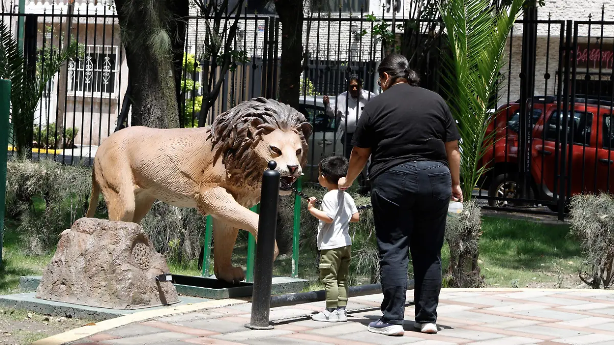 PARQUES ENJAULADOS GUSTAVO A MADERO laura lovera (1)