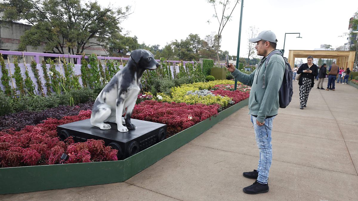 TLALPÁN SE VISTE DE FLORES: BRUGADA IMPULSA JARDÍN ECOLÓGICO