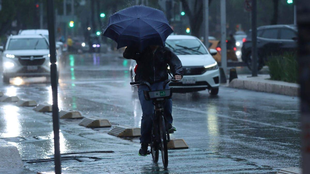 CAOS EN CDMX: ÁRBOLES CAÍDOS Y ENCHARCAMIENTOS POR TORMENTA