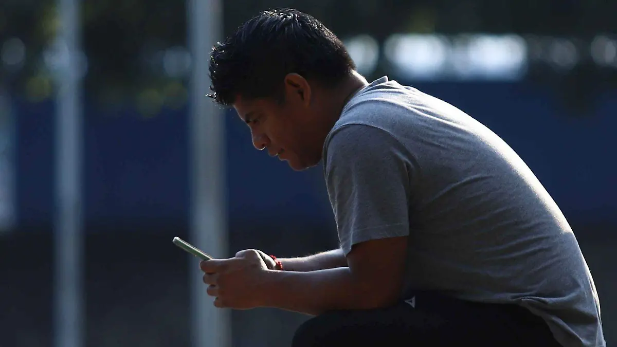 1065082_Registro líneas telefónicas usuarios_web