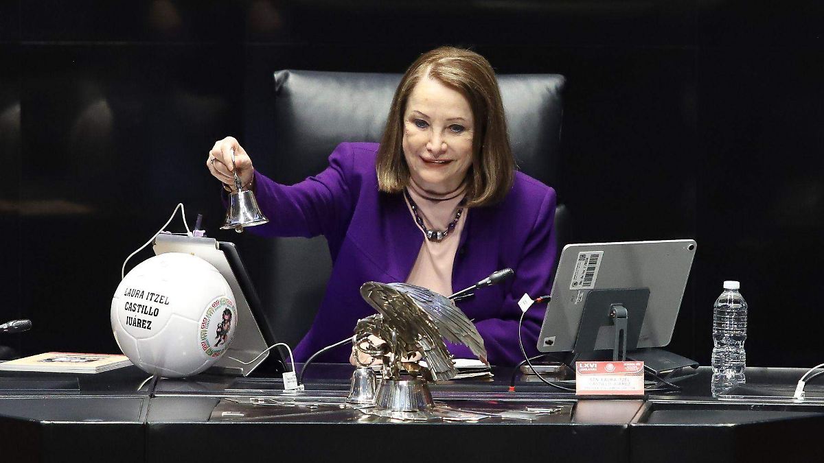 SENADORA DE MORENA, NUEVA TITULAR DE SECRETARÍA DE MUJERES
