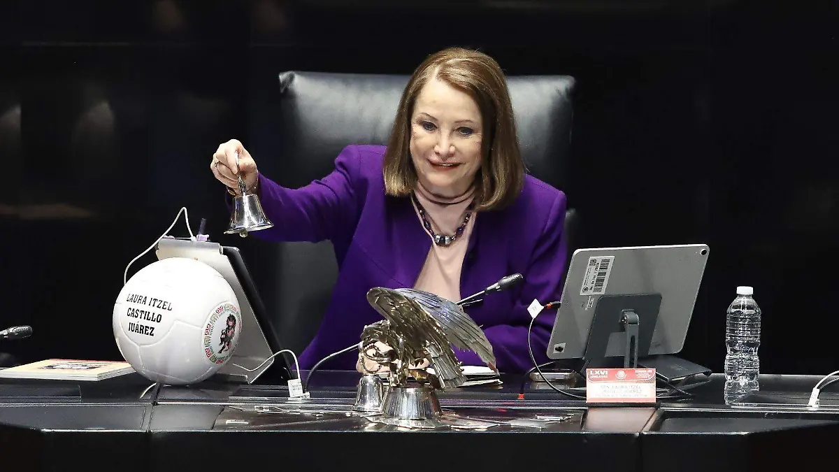 1073819_Sesión Senado_web