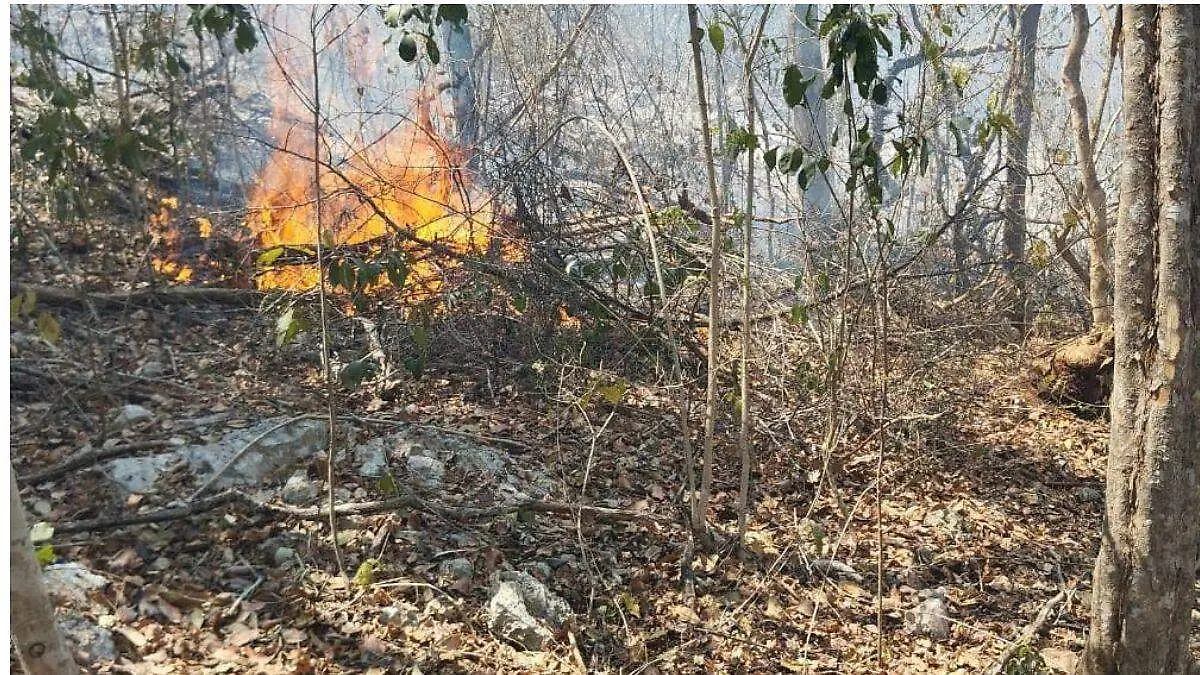 Incendios forestales Campeche