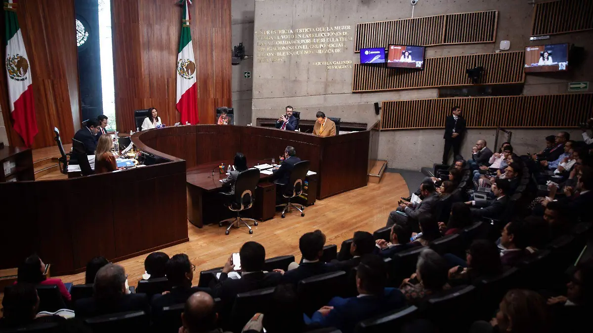 1054565_Sesión pública TEPJF_web
