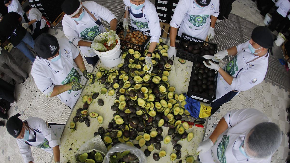 ¡JALISCO HACE HISTORIA CON EL GUACAMOLE MÁS GRANDE DEL MUNDO!