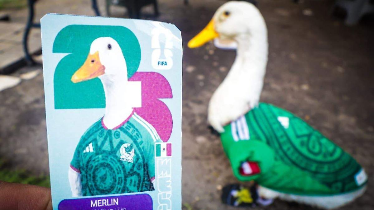 ¡INVITAN AL PATO MERLÍN A LA MAÑANERA!