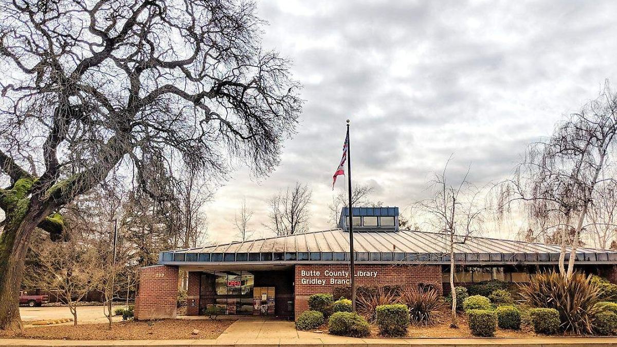 MASACRE EN BIBLIOTECA: TIRADOR BUSCABA REPETIR COLUMBINE
