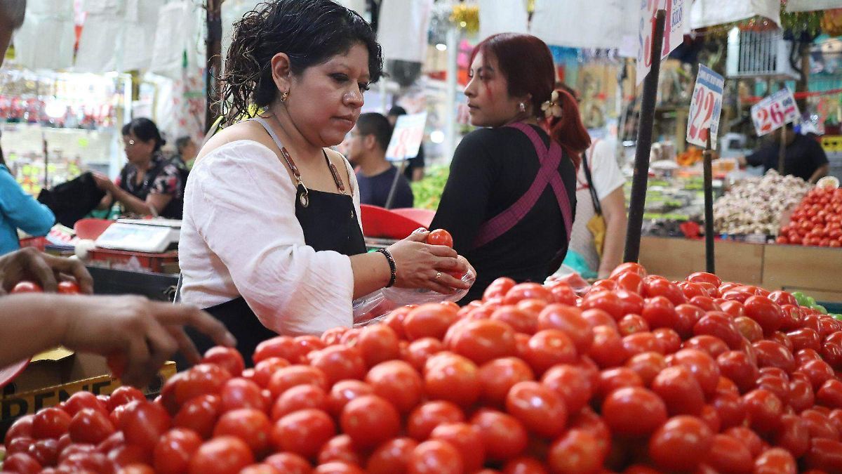 INFLACIÓN SE DESPLOMA: JITOMATE IMPULSA CAÍDA HISTÓRICA