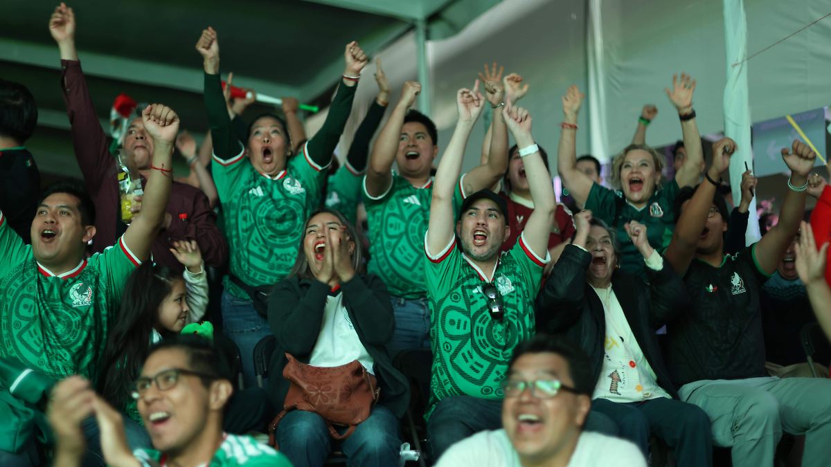¡SORPRESA! BAJA VIOLENCIA FAMILIAR EN CDMX DURANTE PARTIDOS DEL MUNDIAL
