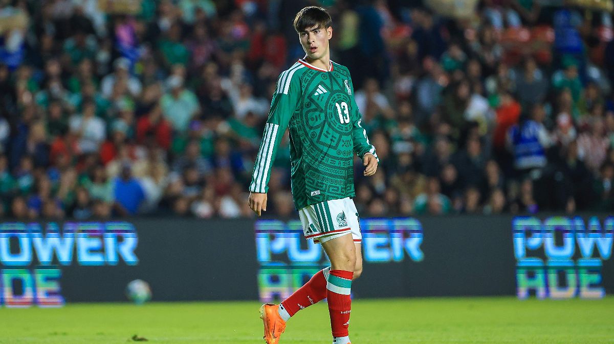 LA HORMIGA QUE CONQUISTA LA SELECCIÓN