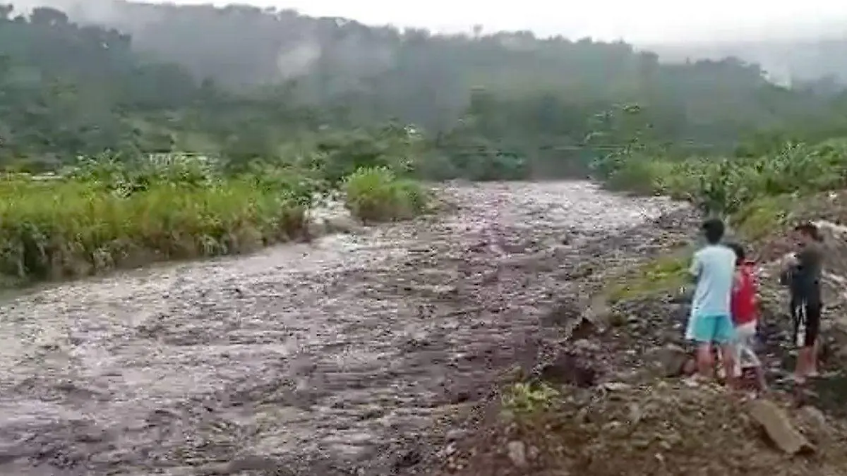 Chabasquén VENEZUELA