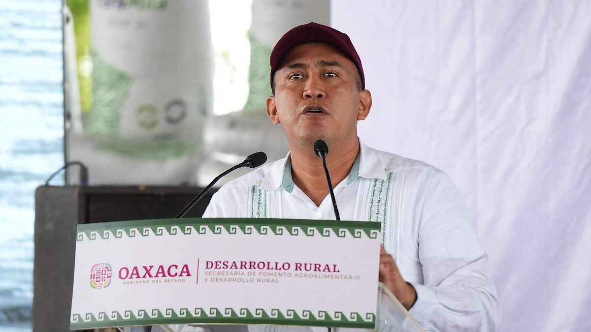 MORENA, BAJO LA MIRA: SENADOR ACUSA A NYT DE SERVIR A LA "ULTRADERECHA"