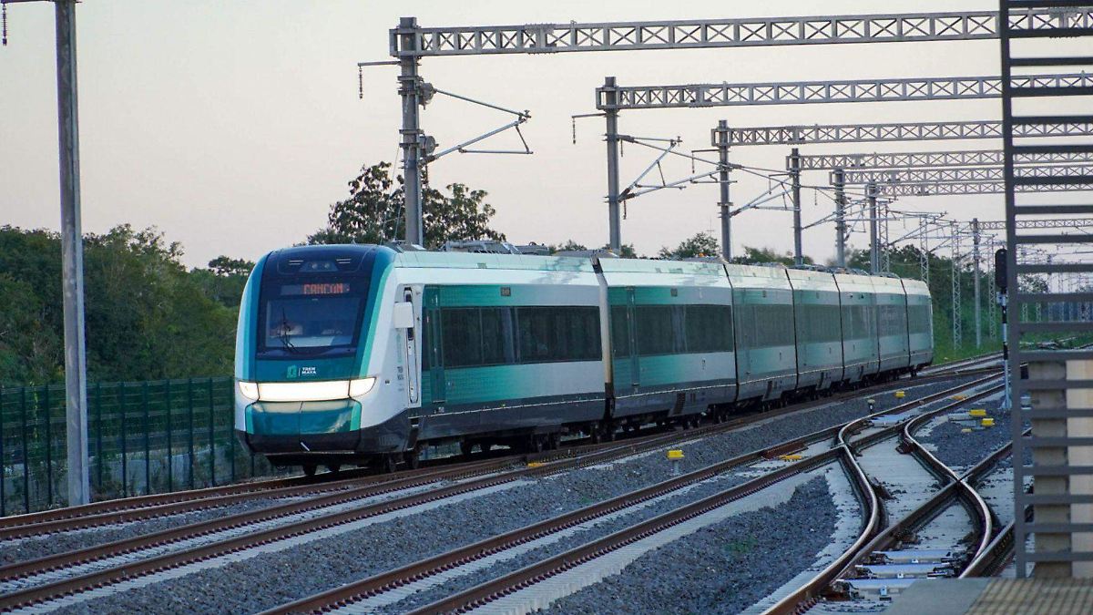 SELVA SACRIFICADA POR TREN MAYA