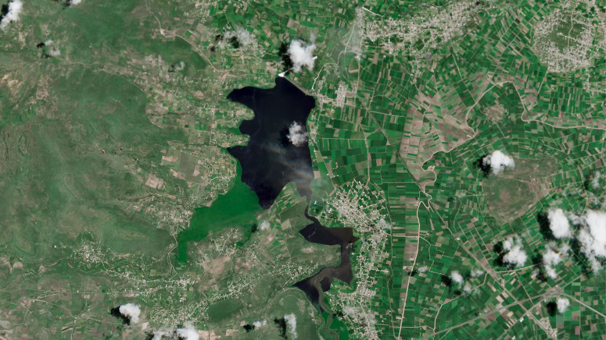 ¡ADIÓS AL LIRIO! LIMPIAN PRESA ENDHÓ
