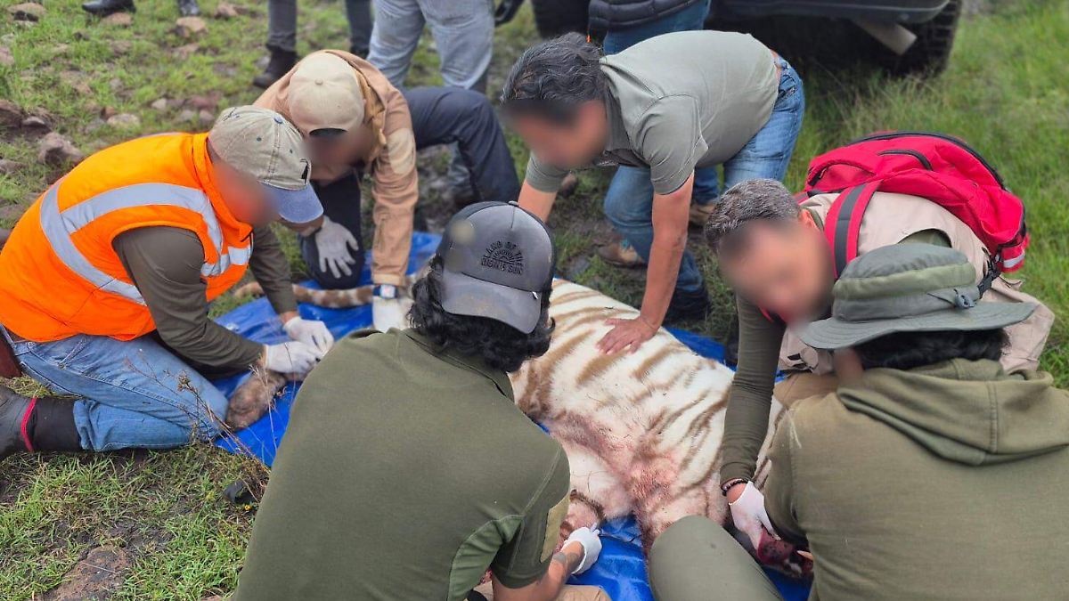 ASESINAN A KENZO: BALA EN LA CABEZA