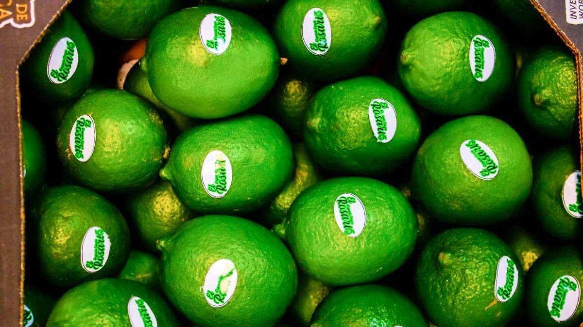 LIMÓN MEXICANO CONQUISTA RUSIA