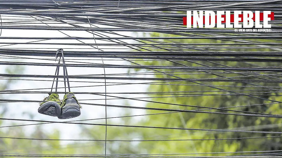 cableado_ind