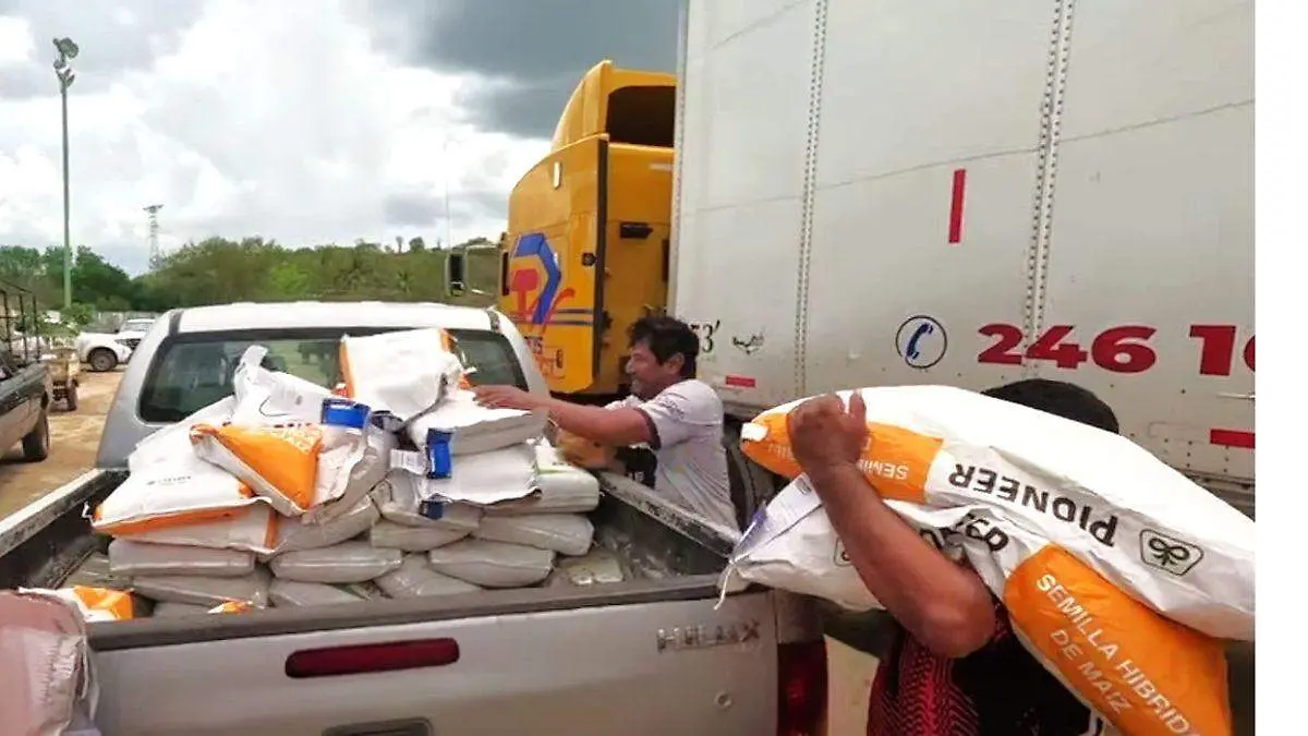 Productores de maizCampeche