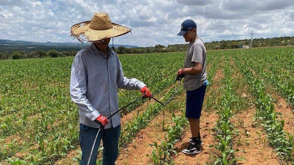 ¡T-MEC EN LA CUERDA FLOJA! AGRICULTORES EXIGEN RESPUESTA