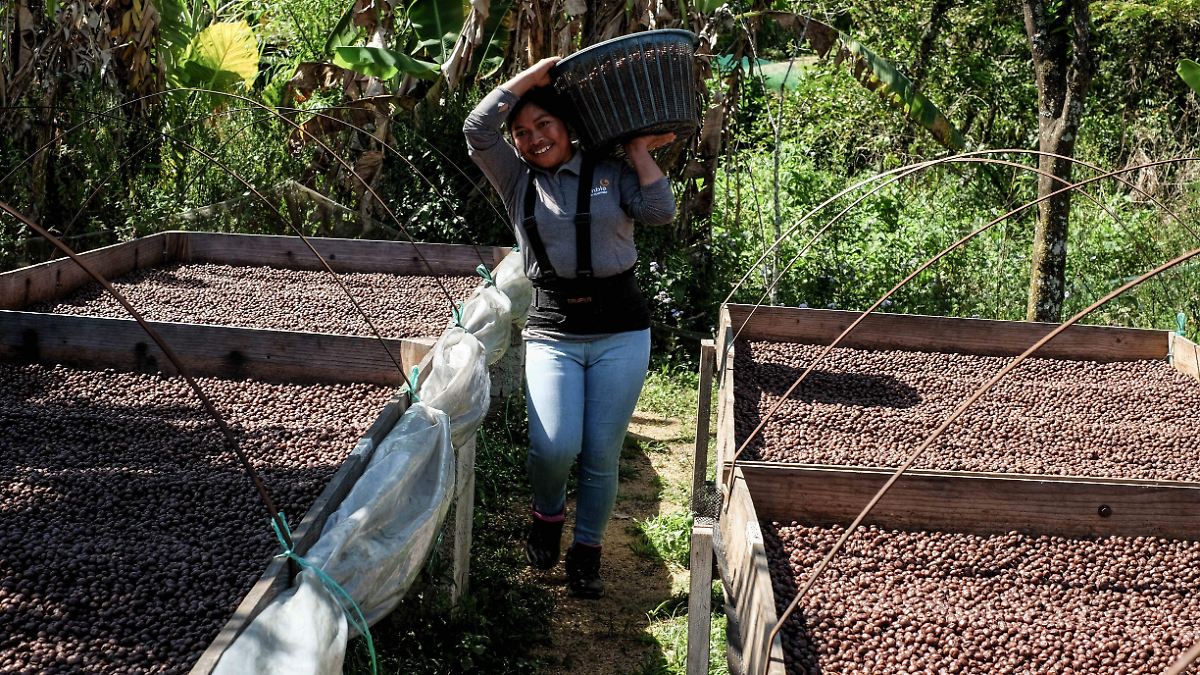 EL NIÑO DESATA ALERTA POR ALZA EN PRECIOS