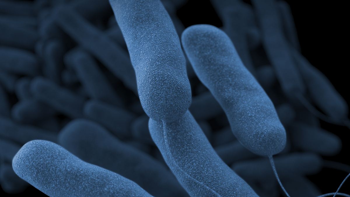 LEGIONELLA GOLPEA NY: MUERTO Y 76 EDIFICIOS EN ALERTA