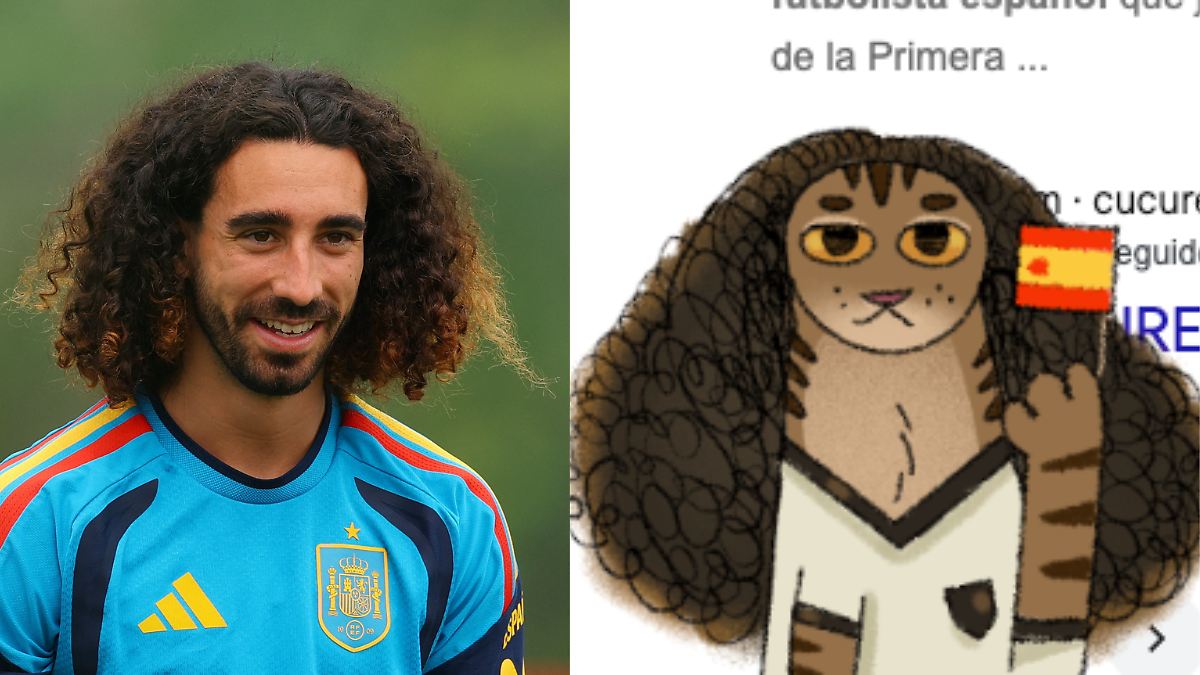 GOOGLE SE BURLA DE CUCURELLA