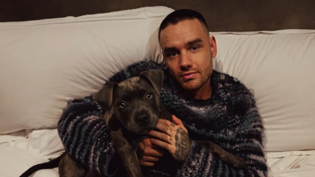 ABSUELTO AMIGO DE LIAM PAYNE