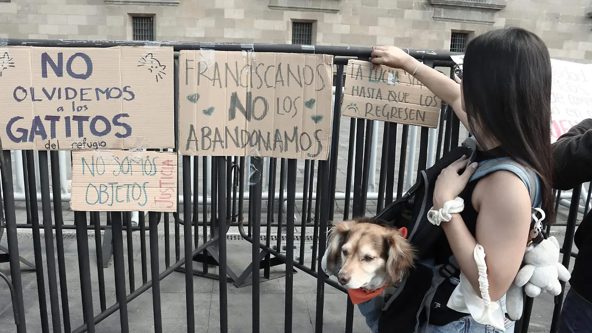 6206719-Marcha de Franciscanitos-50
