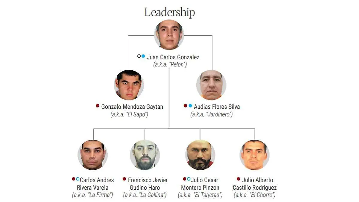 CJNG_mapa