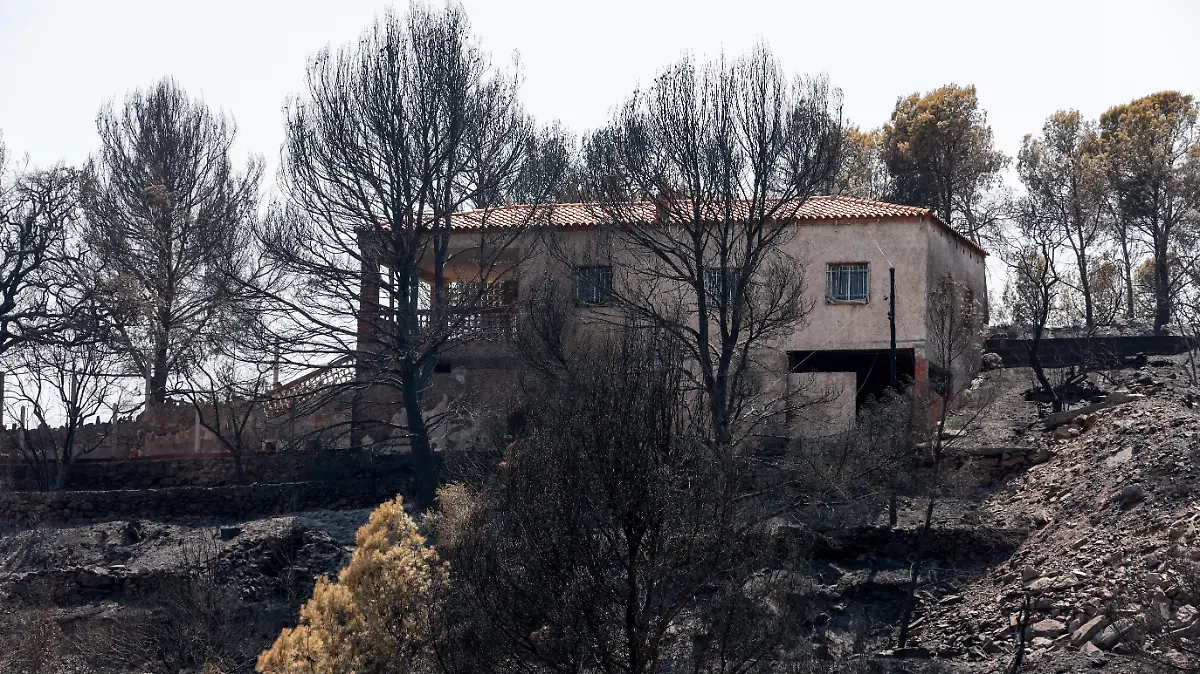2026-07-28T141854Z_36990591_RC22NMAQZLVF_RTRMADP_3_EUROPE-WEATHER-SPAIN-WILDFIRE
