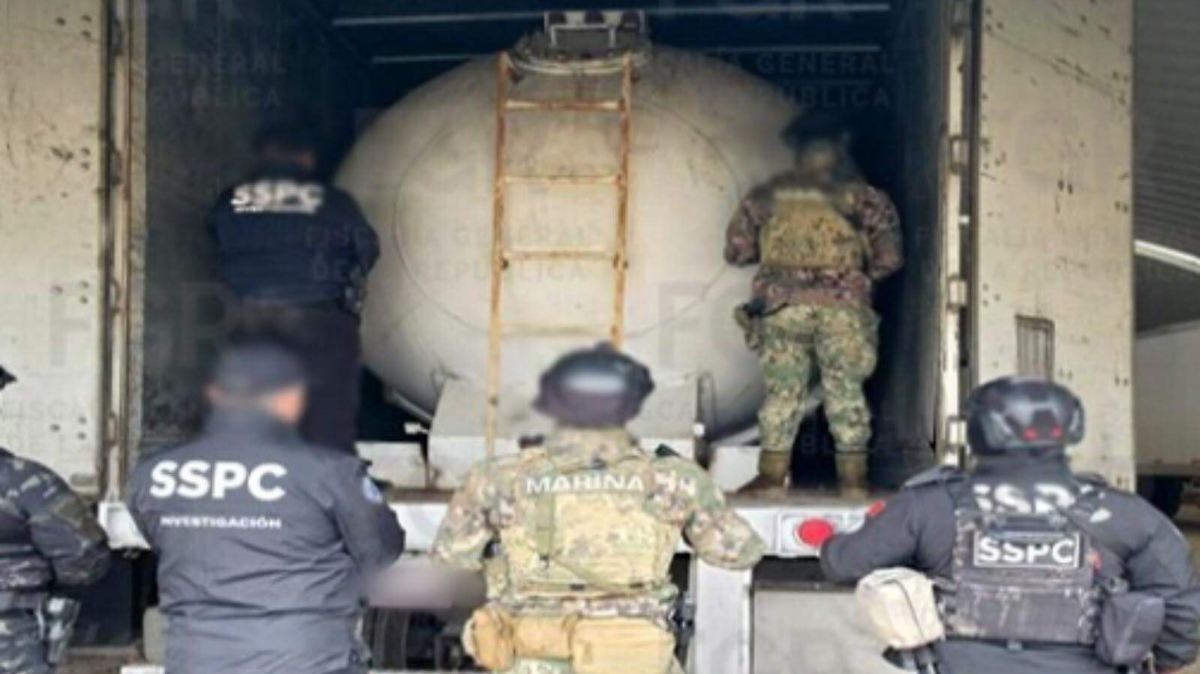 CAE RED DE "DON CHECO" EN EDOMEX