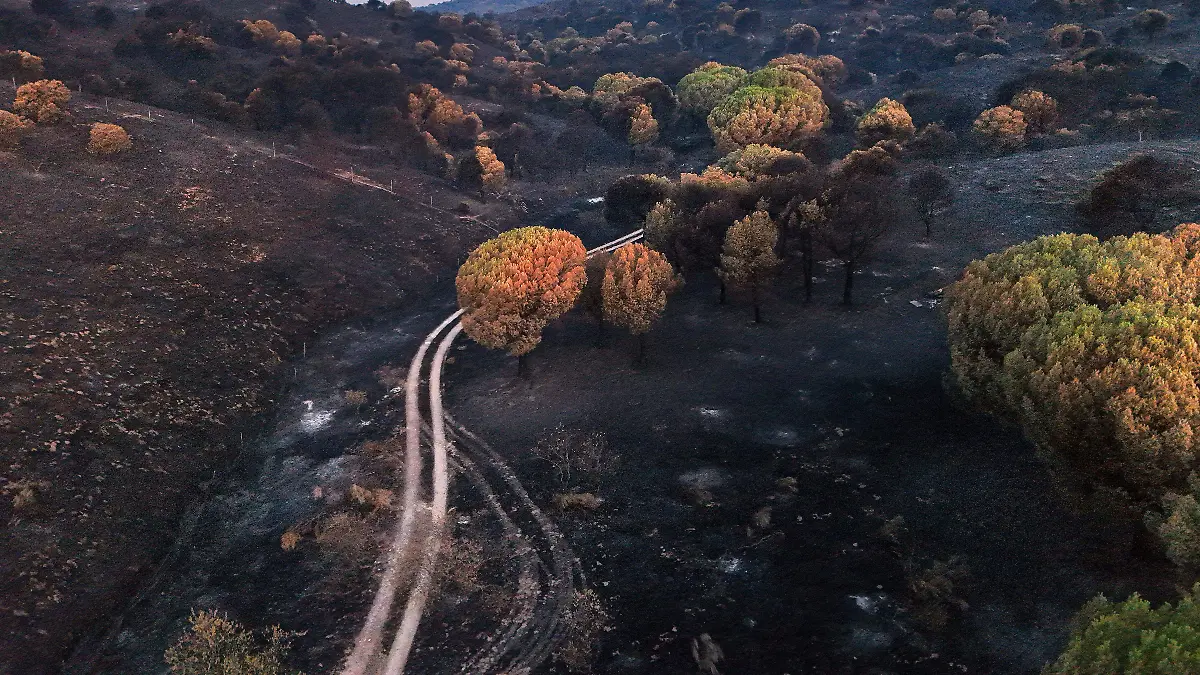 AFP__20260730__C3JZ8U2__v6__HighRes__TopshotSpainWildfireEmergencyClimate