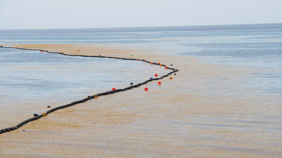 Fernando Uscanga viajó a Cancún y encontró mucho sargazo en las playas- Cortesía Fernando Uscanga (2)
