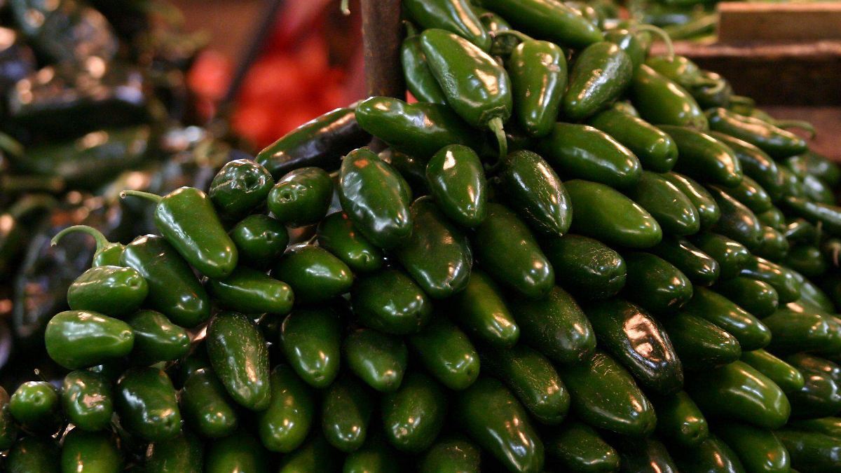SALMONELA MEXICANA INVADE EU