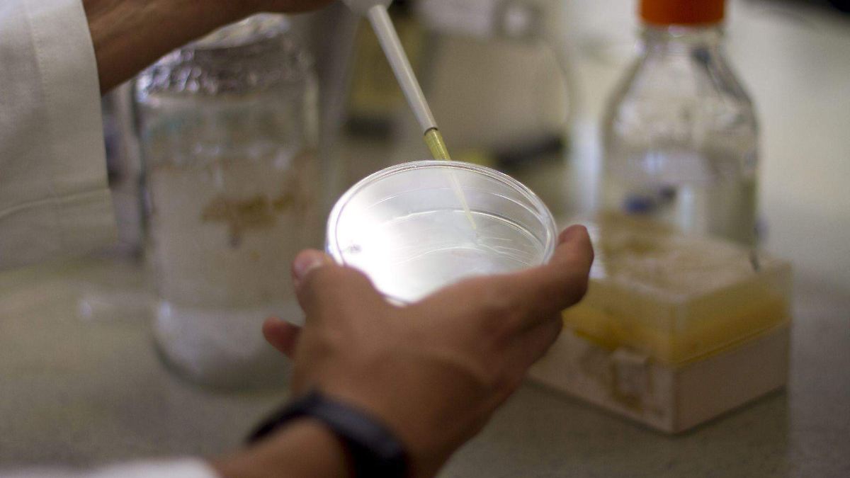 IA CREA VIRUS INEXISTENTES EN LA NATURALEZA
