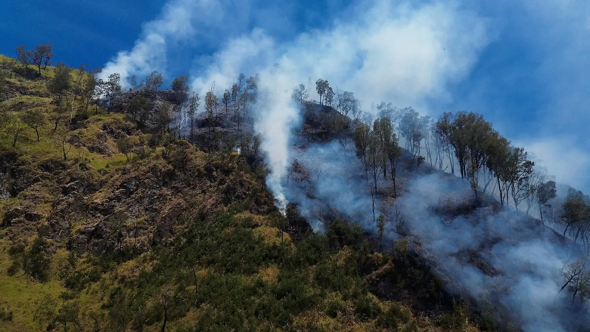 2026-08-06T123153Z_1497311758_RC20TMAHVY29_RTRMADP_3_ASIA-WEATHER-INDONESIA-WILDFIRE