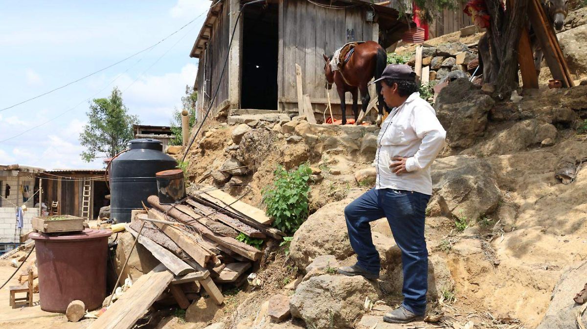 INDÍGENAS DESAPARECIDOS: OCULTAN CIFRAS REALES