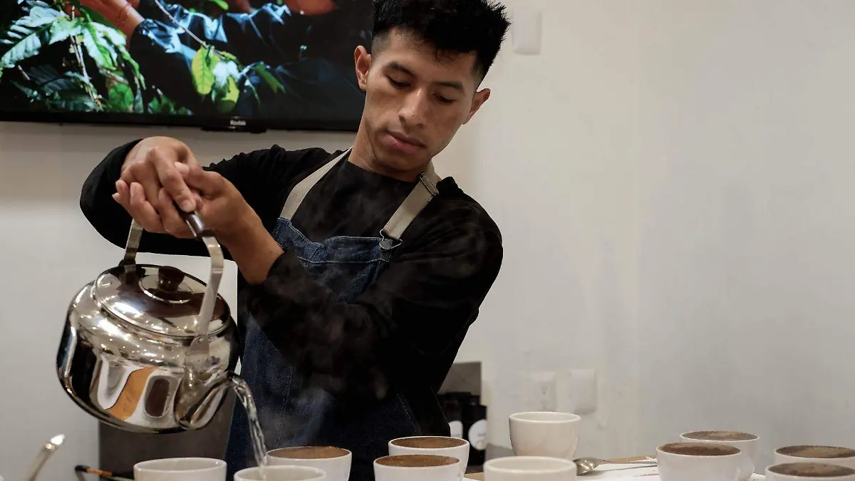 1019217_Chiapas La Ruta del Café_web