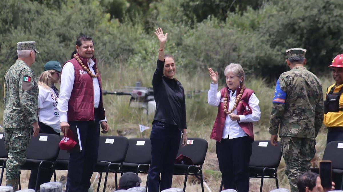 PLANTAN ÁRBOLES MIENTRAS LA REFORESTACIÓN SE AHOGA