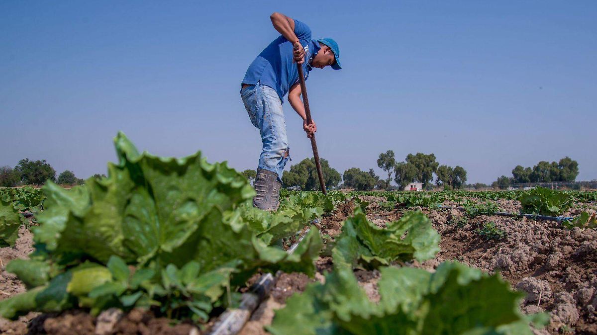 ACUSAN A MÉXICO SIN PRUEBAS