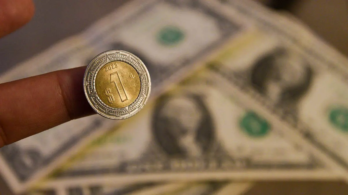 1014831_Aspectos billetes dólar_web