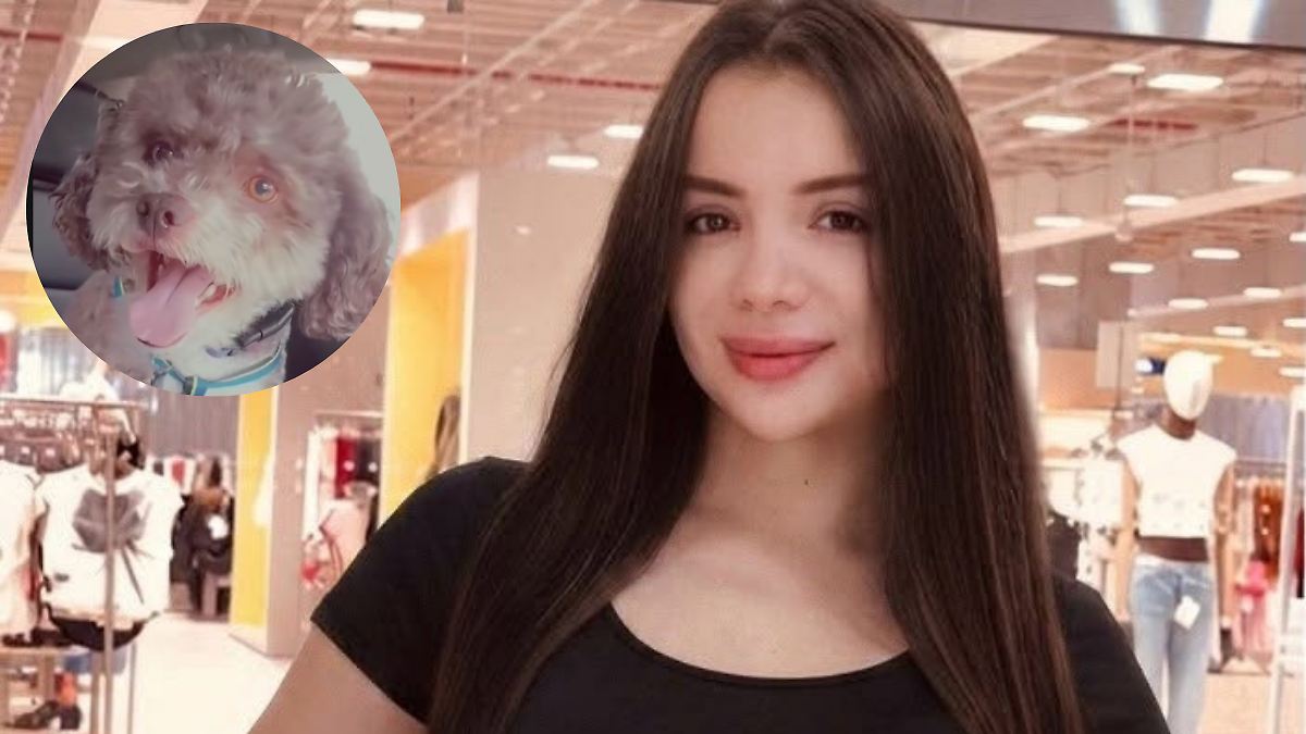 VALIENTE MUJER MUERE PROTEGIENDO A SU PERRO EN COLOMBIA