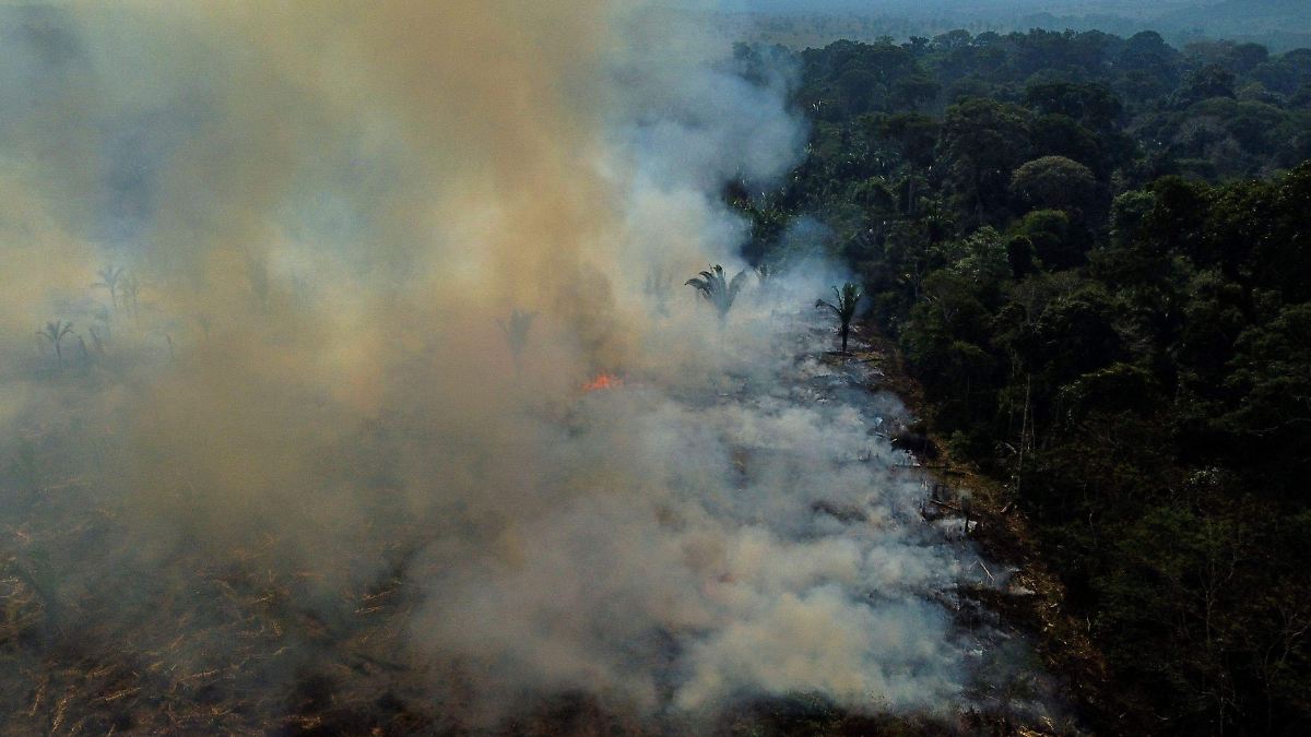 EL AGUA QUE CAE DEL CIELO: EL SECRETO DE LA VIDA EN EL AMAZONAS