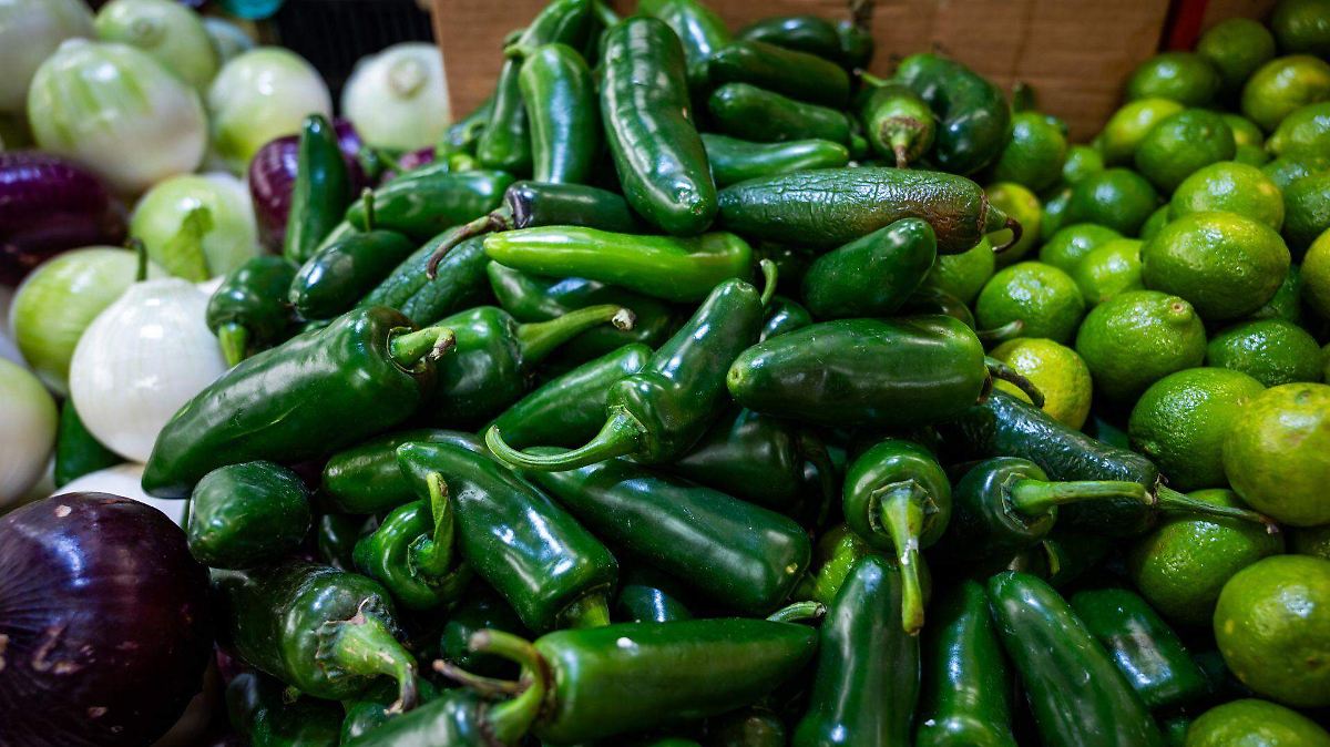 COFEPRIS DA LUZ VERDE A CHILE JALAPEÑO