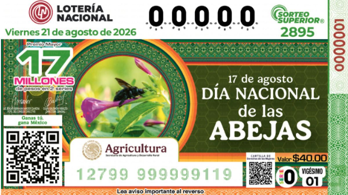 LOTERÍA CELEBRA A LAS ABEJAS MELIPONAS
