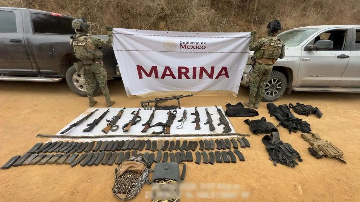 Marina Decomiso Armas