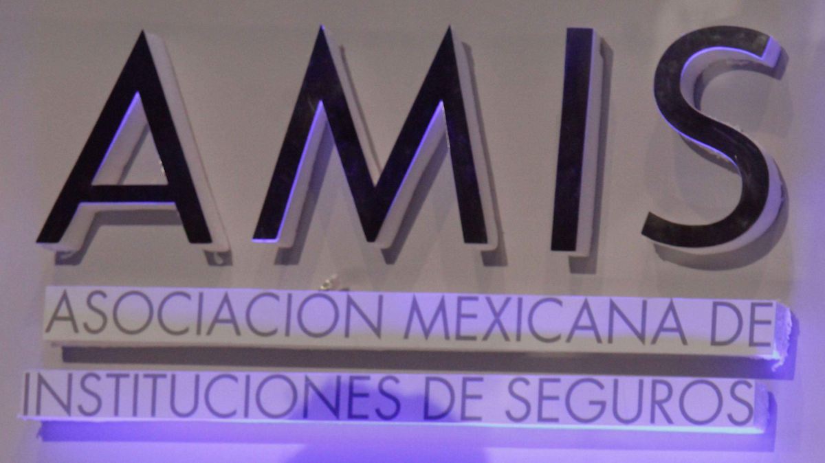 ASEGURADORAS IMPARABLES: CRECEN 5% A PESAR DE IMPUESTOS