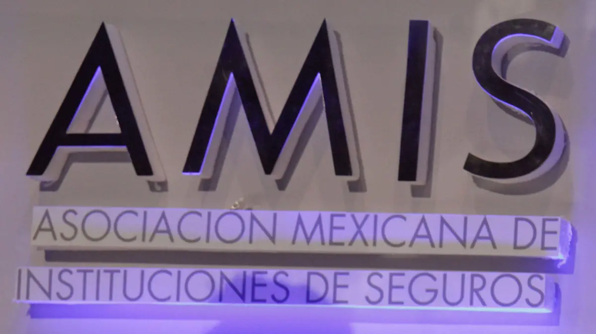352304_AMIS Quadri_impreso