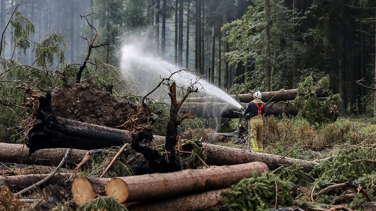 AFP__20260820__C64C72N__v1__HighRes__BelgiumEnvironmentWeatherClimateWildfire