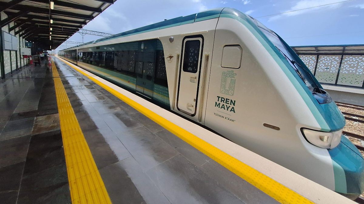TREN MAYA PAGARÁ POR DAÑOS ECOLÓGICOS